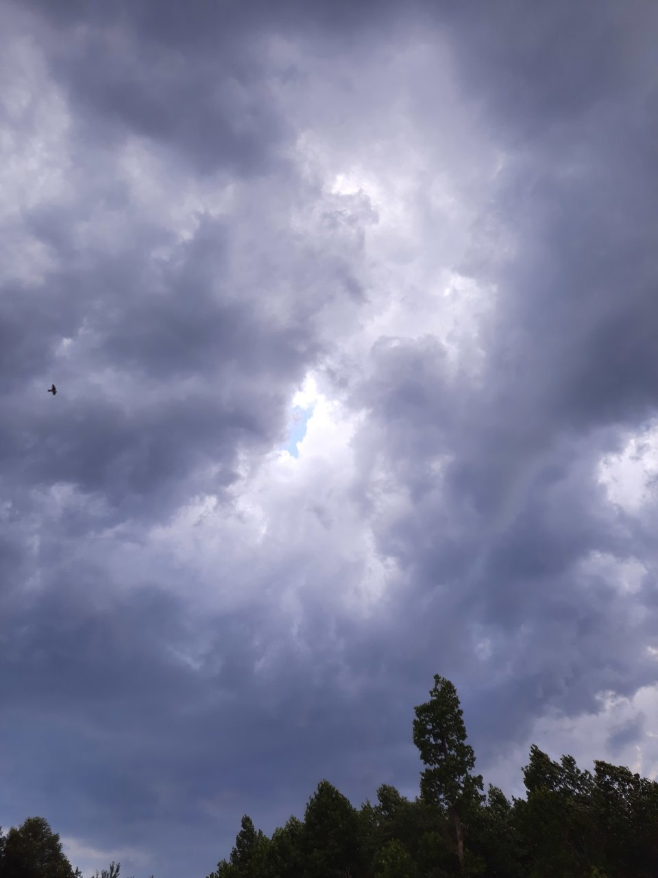 20220622_190634.jpg