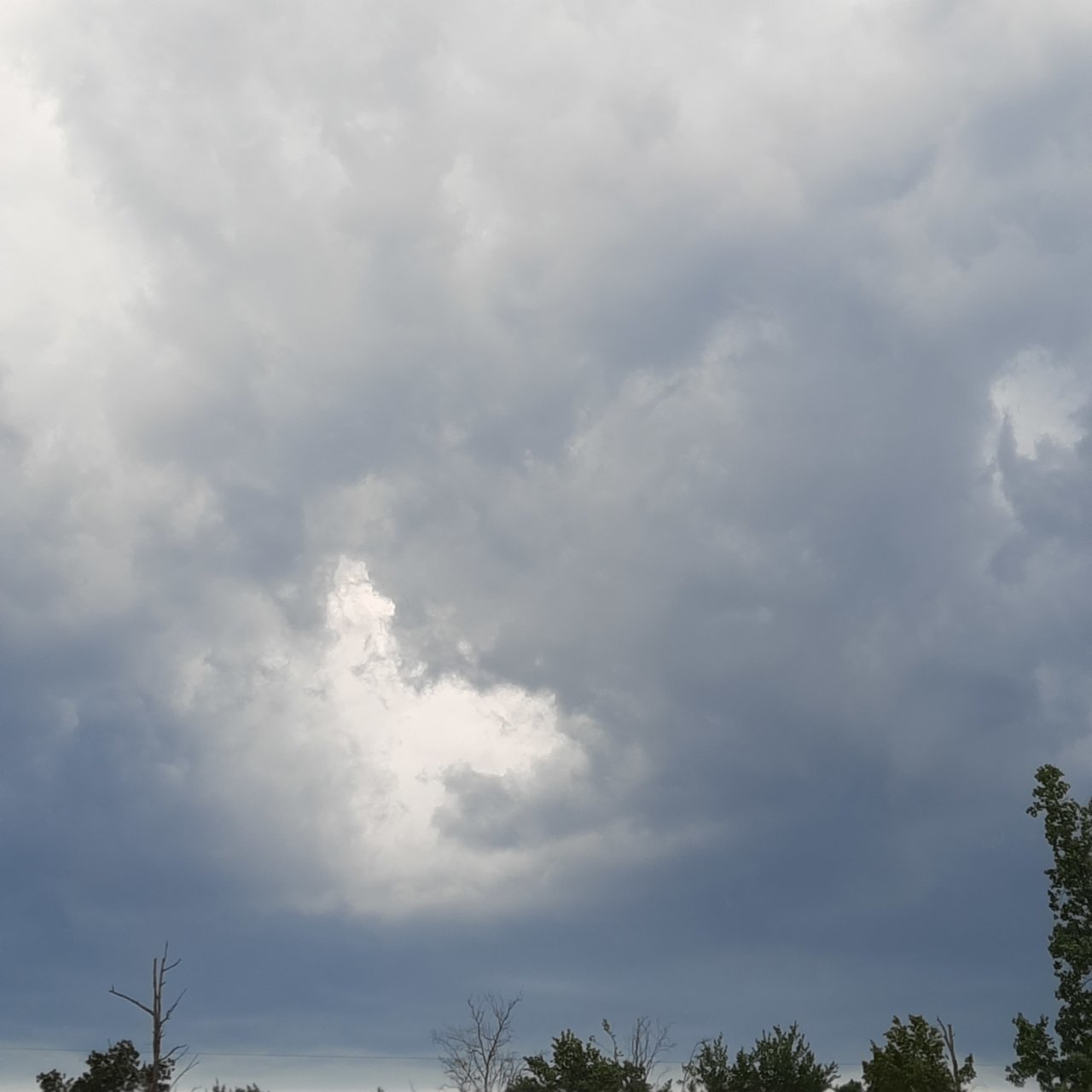 20220622_191259.jpg