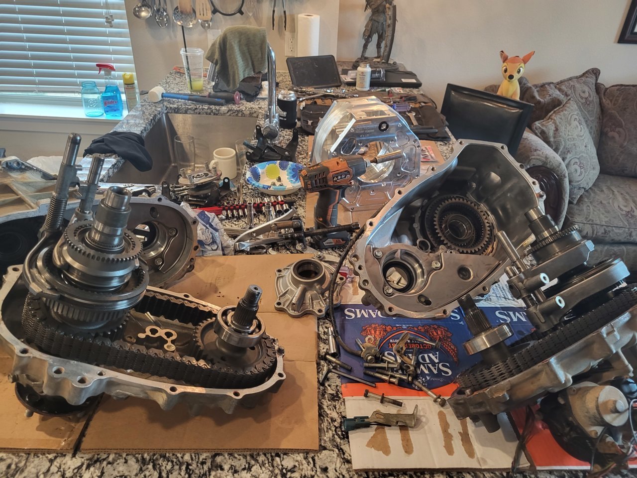 20220624_173243.jpg