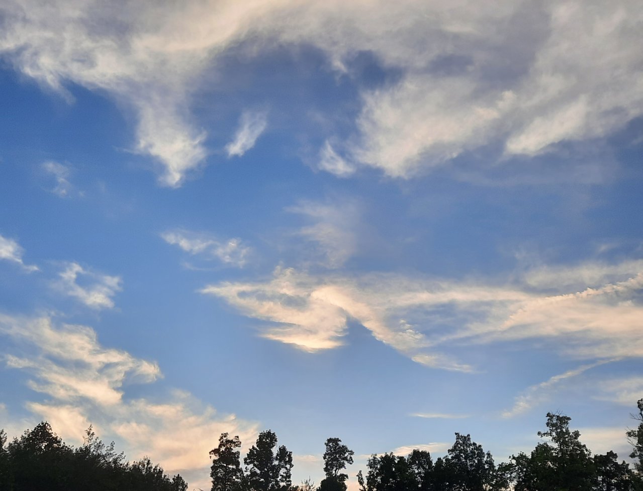 20220624_204929.jpg