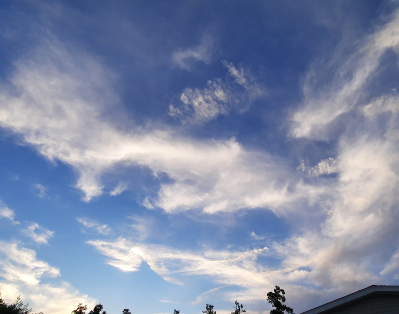 20220624_204936.jpg