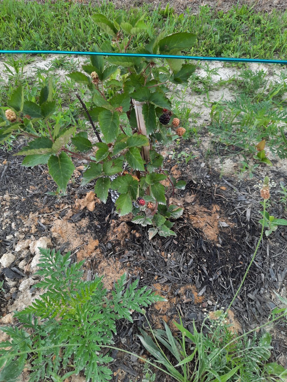 20220625_121950.jpg