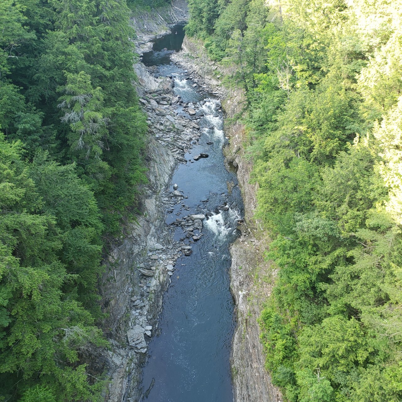 20220625_173550.jpg