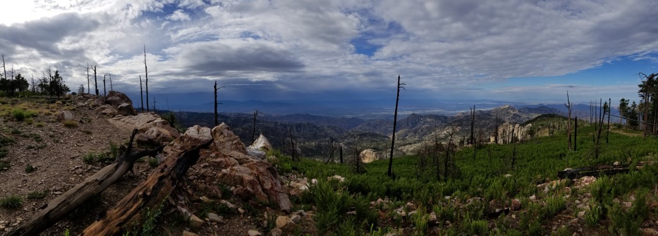 20220626_074705.jpg