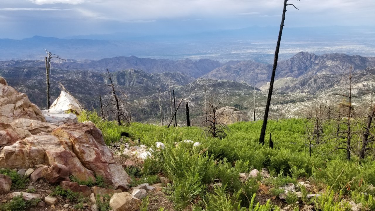 20220626_074715.jpg