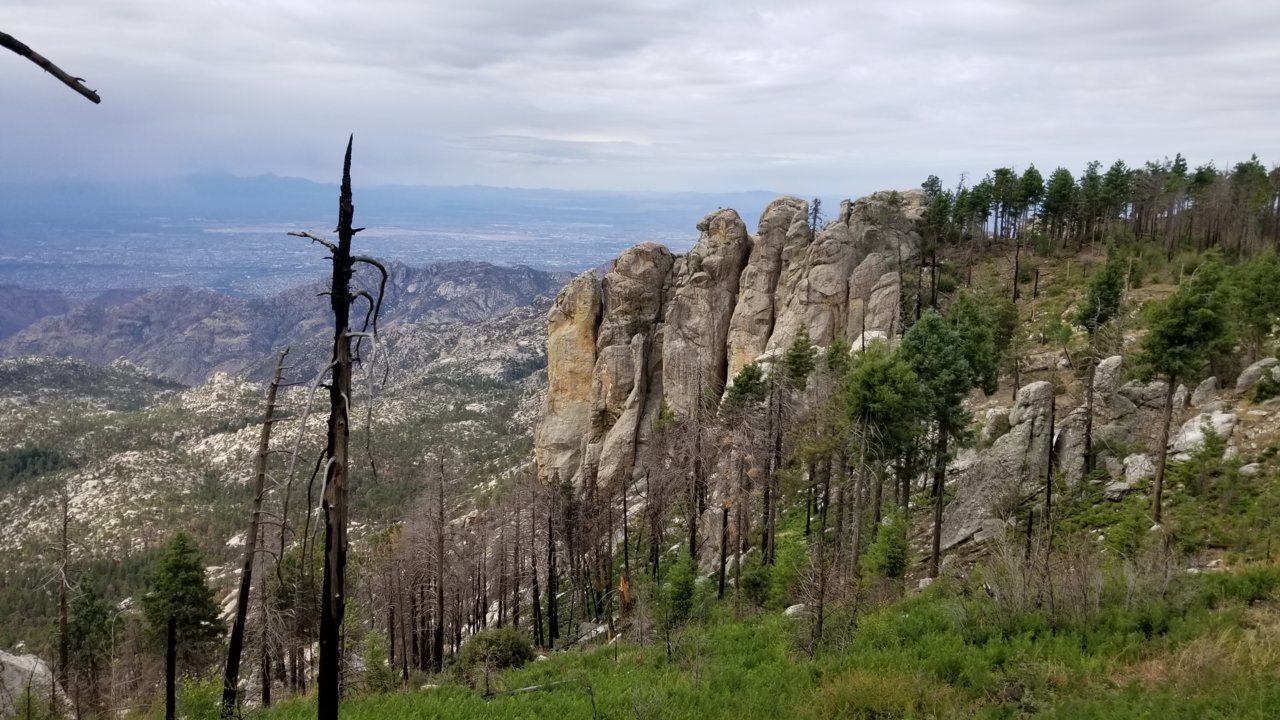 20220626_091823.jpg