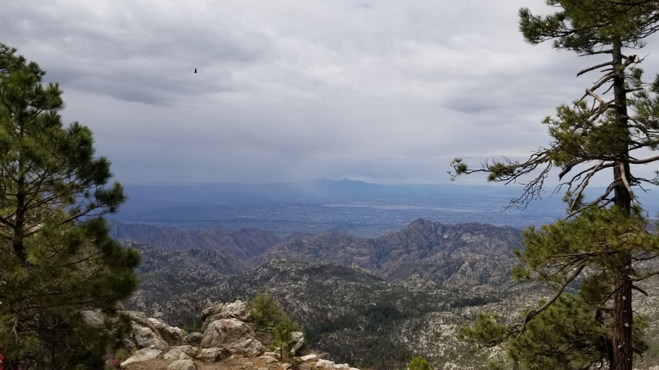 20220626_093637.jpg