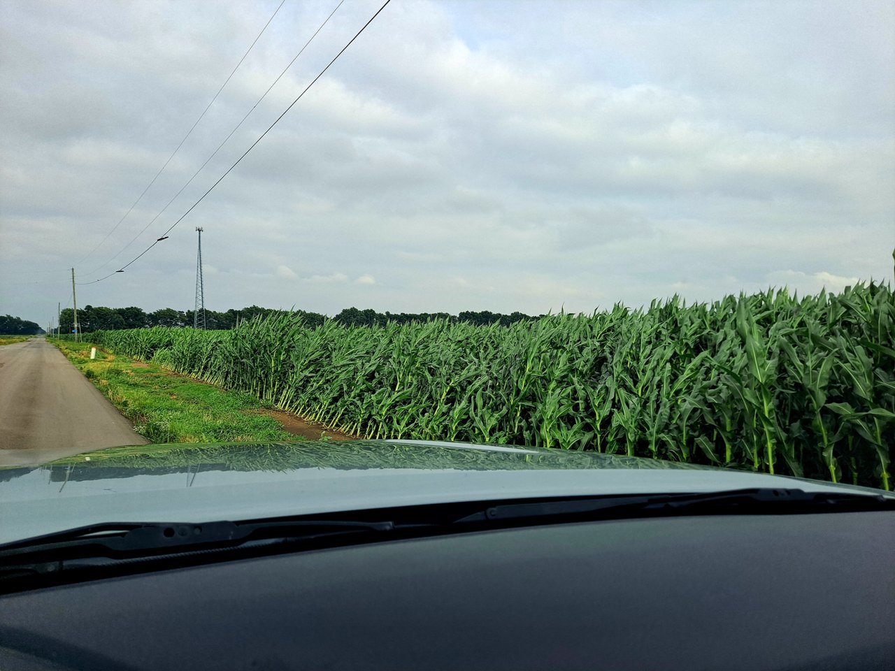 20220626_173312.jpg
