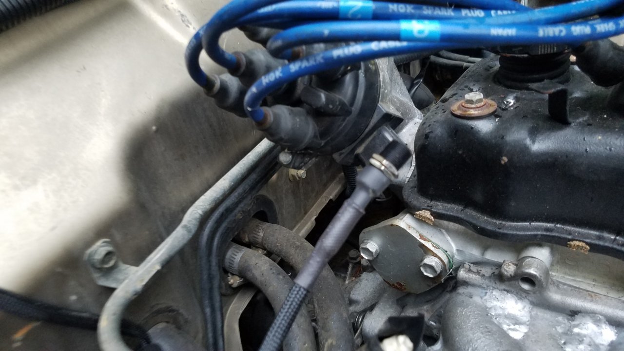 20220626_184444.jpg