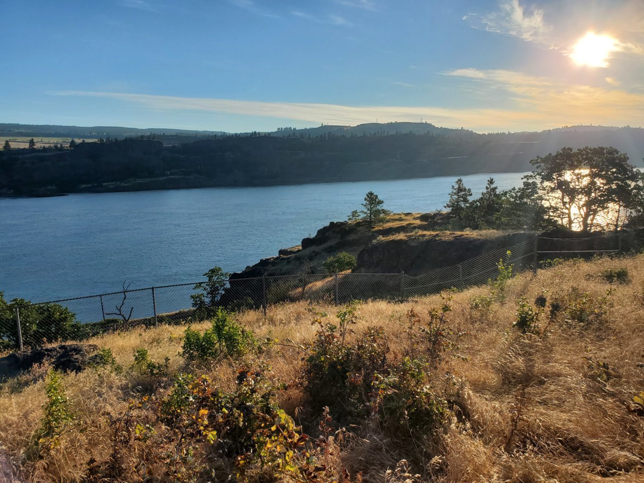 20220630_062845.jpg