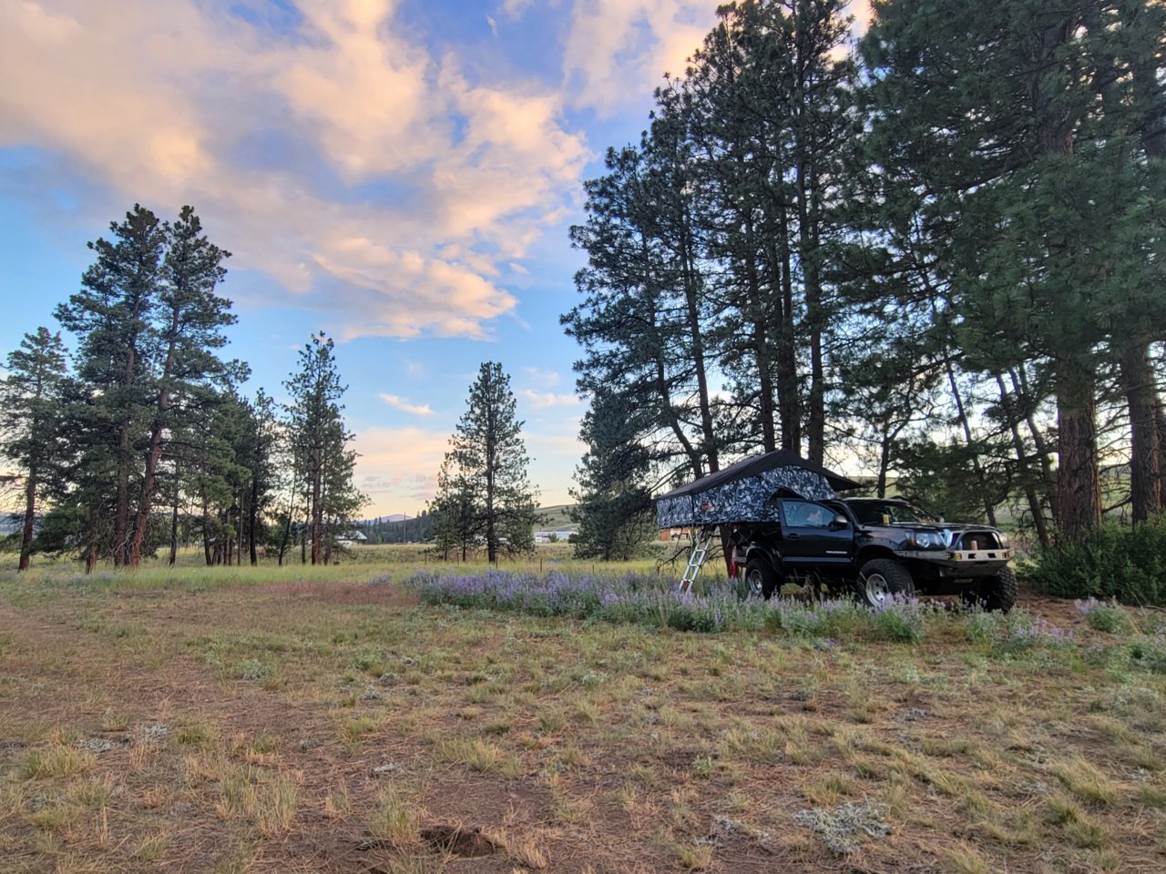 20220630_204730.jpg