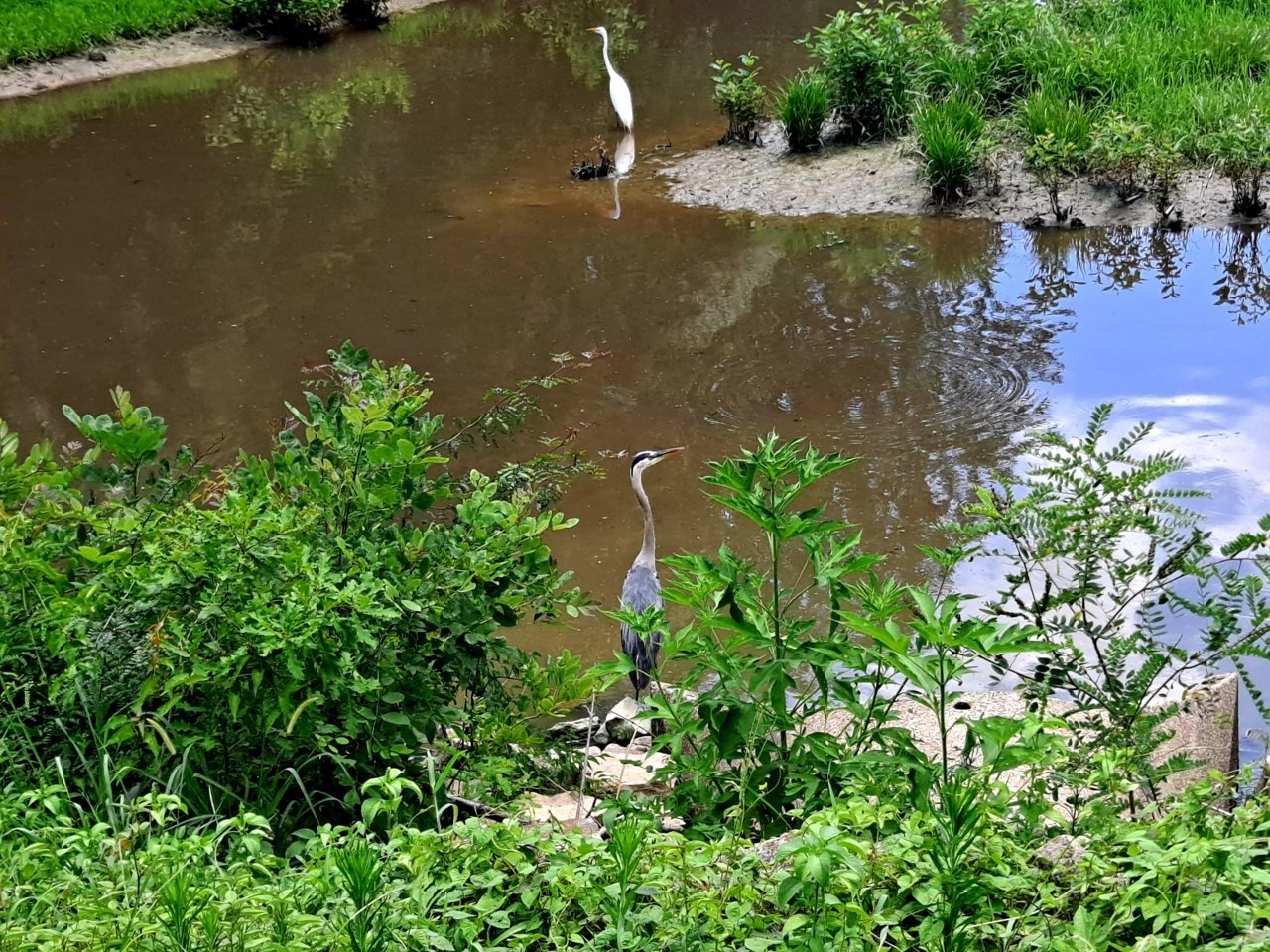 20220701_135912.jpg