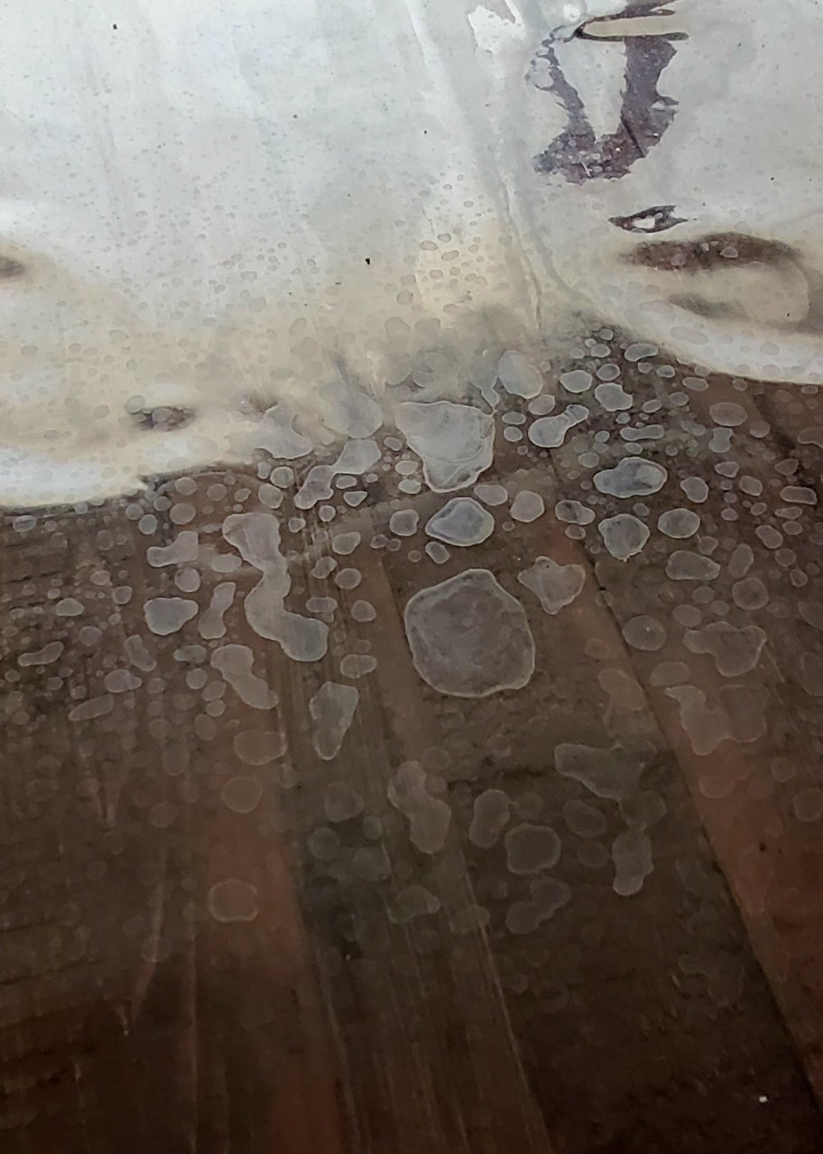 20220702_141055.jpg