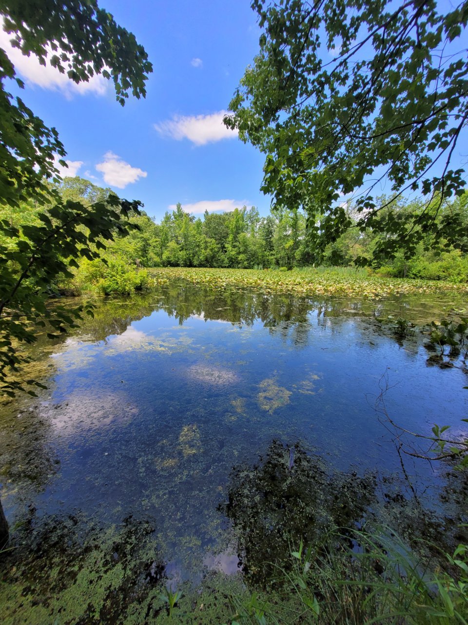 20220703_125838.jpg