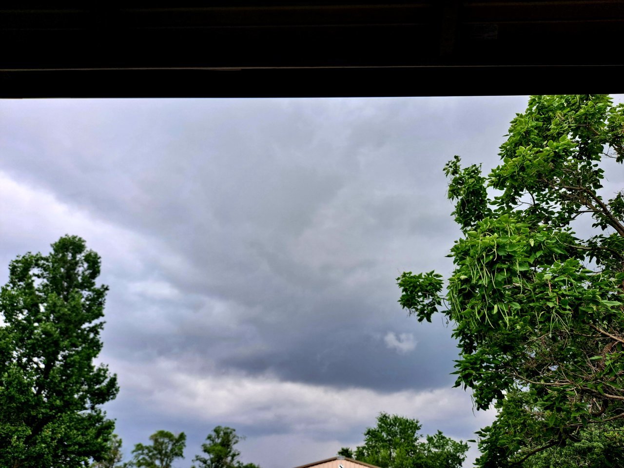 20220703_152026.jpg