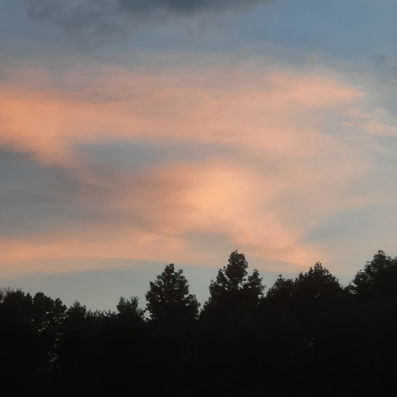 20220704_210948.jpg