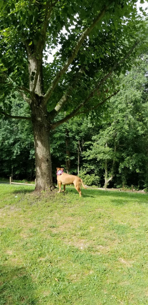 20220706_095626.jpg