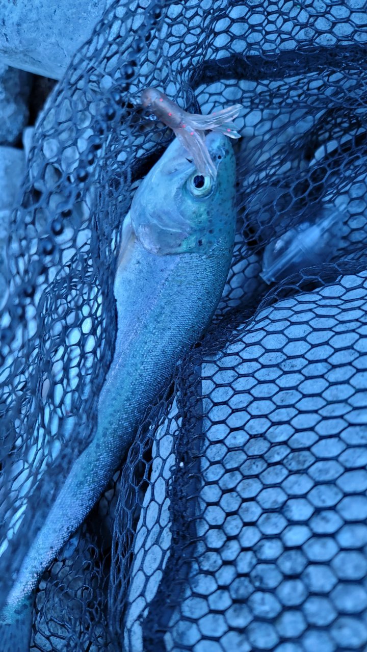 20220708_065307.jpg
