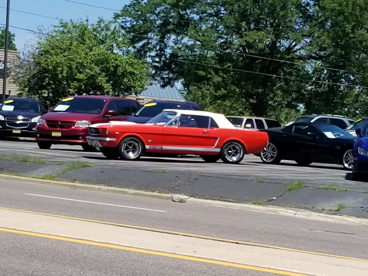 20220709_132047.jpg