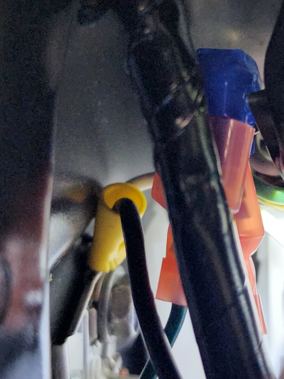 20220711_114545.jpg