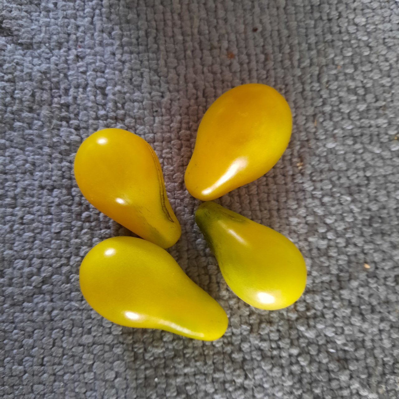 20220712_110136.jpg