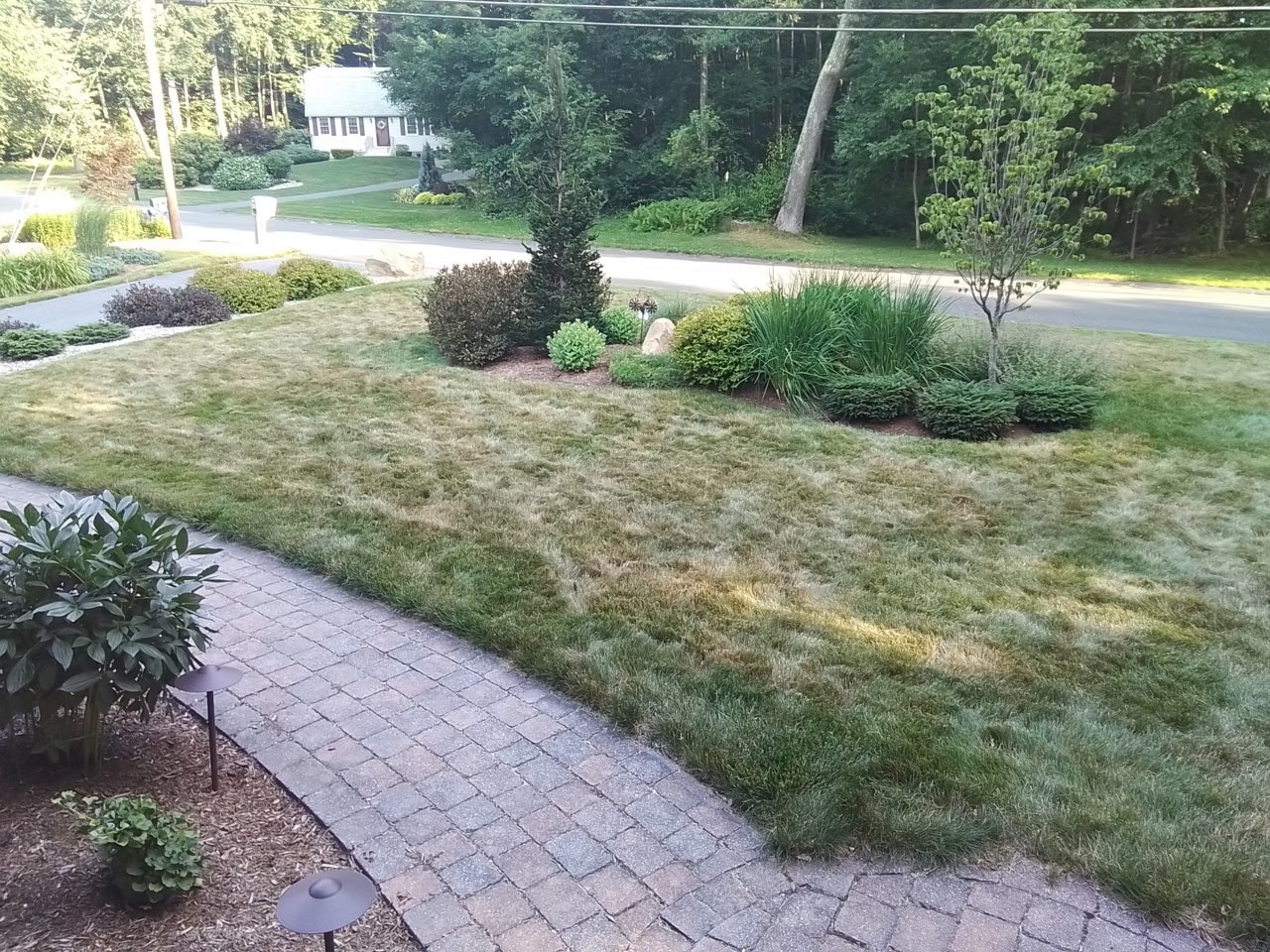 20220712_180734.jpg