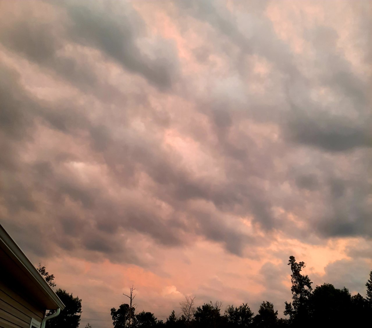 20220712_210546.jpg