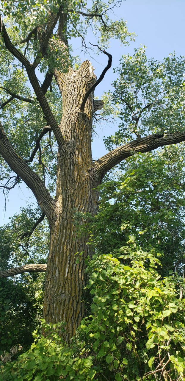 20220714_113941.jpg