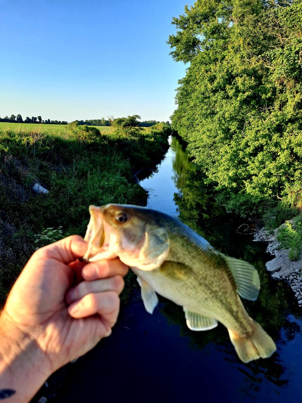 20220714_192135.jpg
