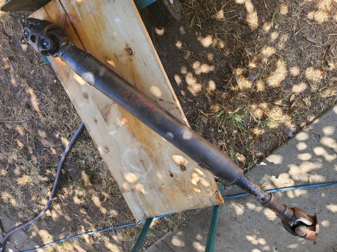 20220715_124217.jpg
