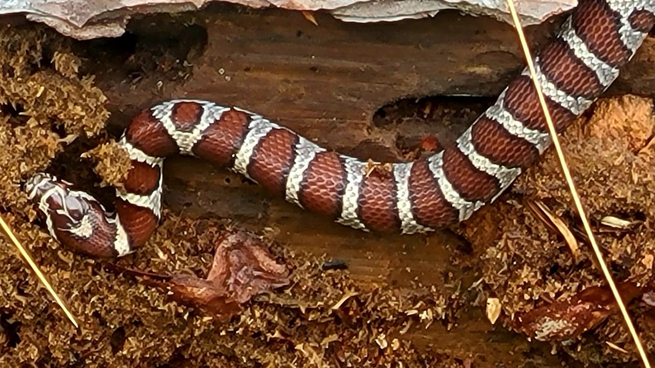 20220716_125339.jpg