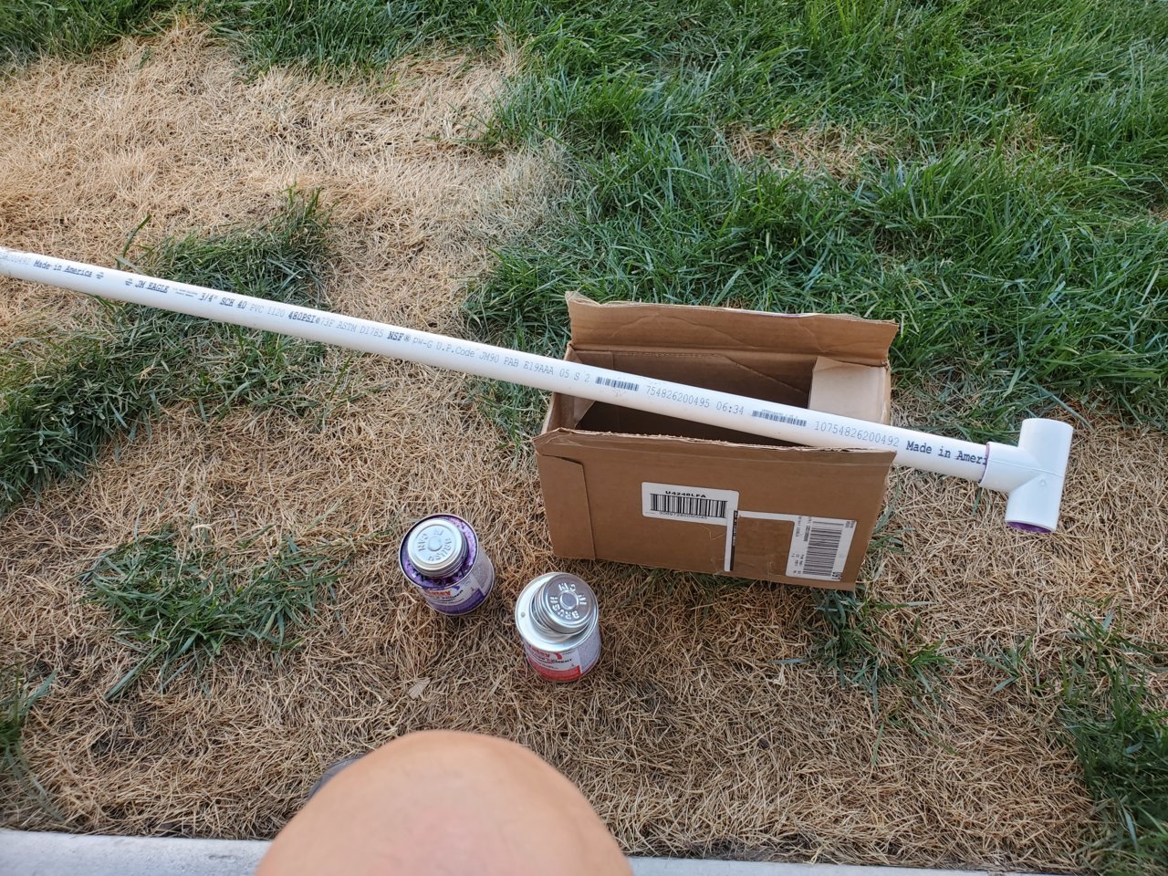 20220717_124954.jpg