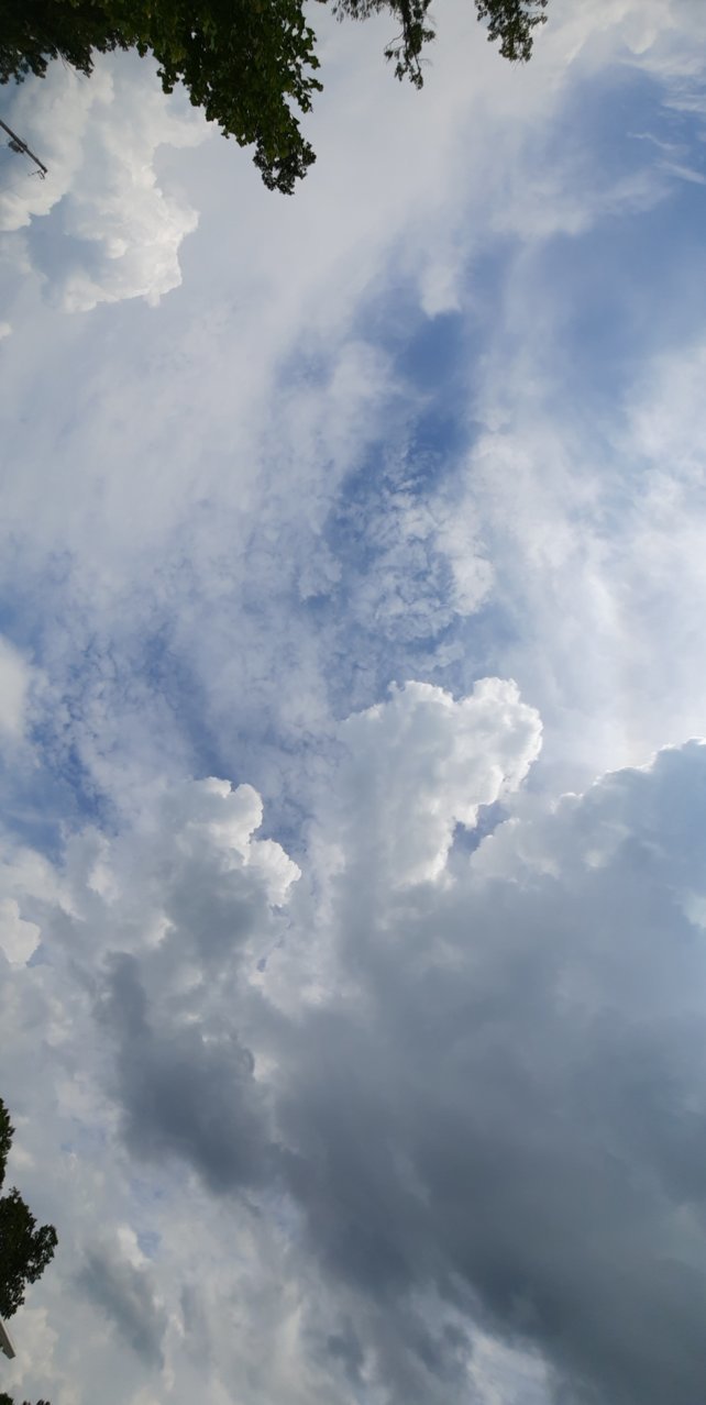 20220717_152813.jpg
