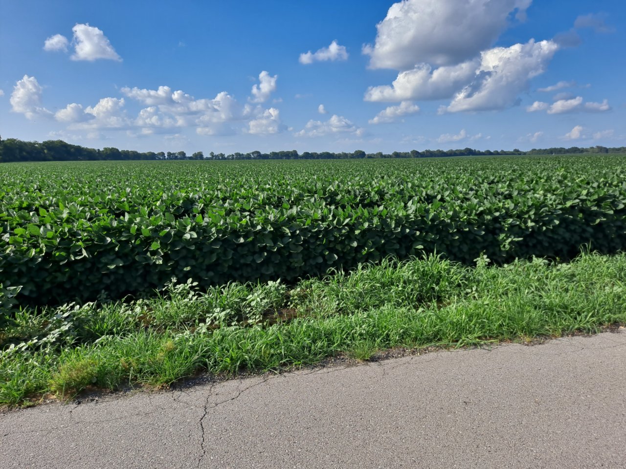 20220718_173449.jpg
