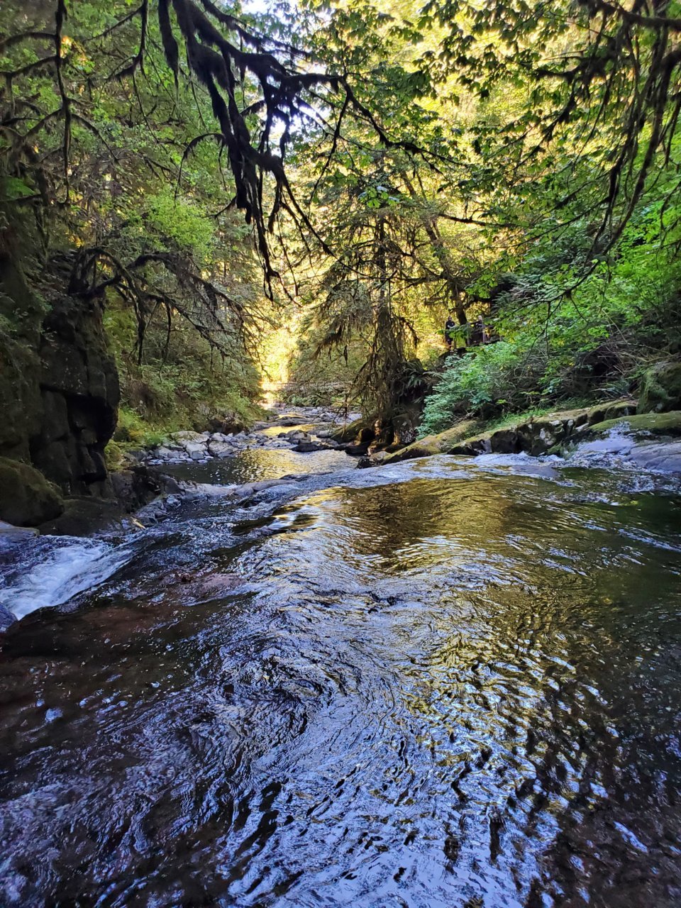 20220719_163427.jpg
