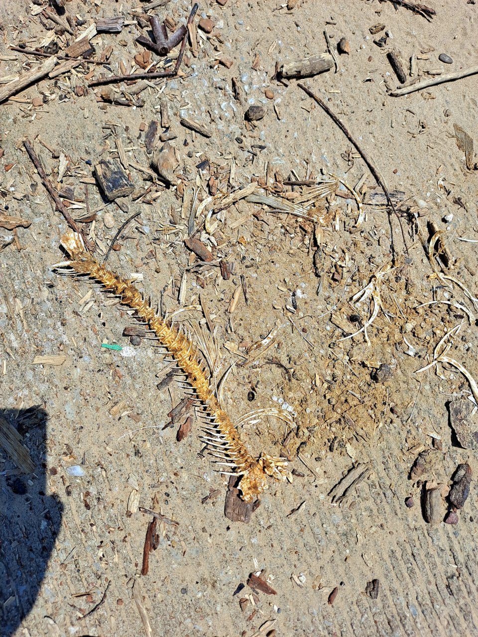 20220720_141150.jpg