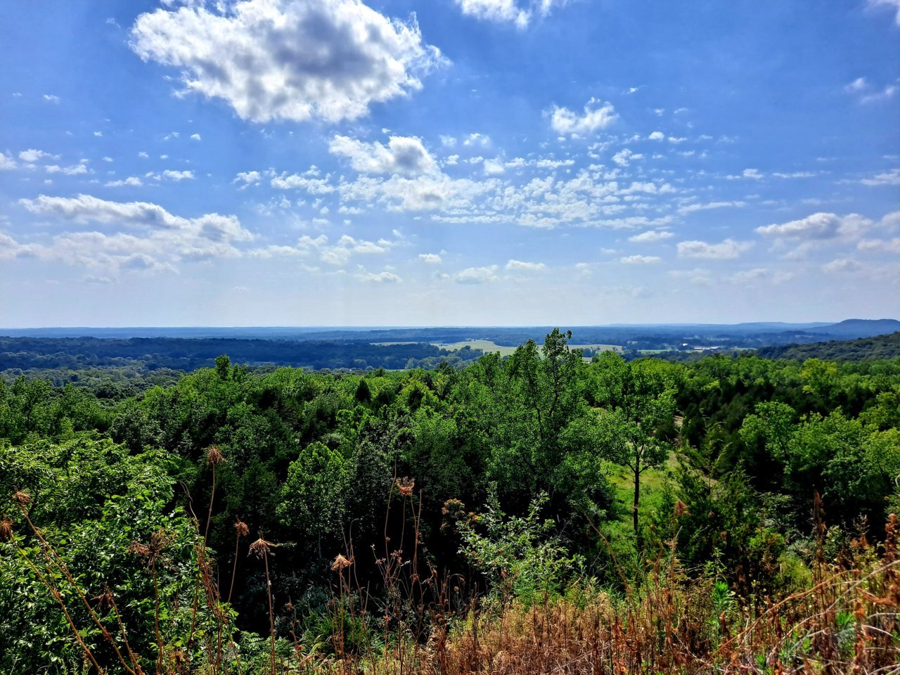 20220720_160335.jpg
