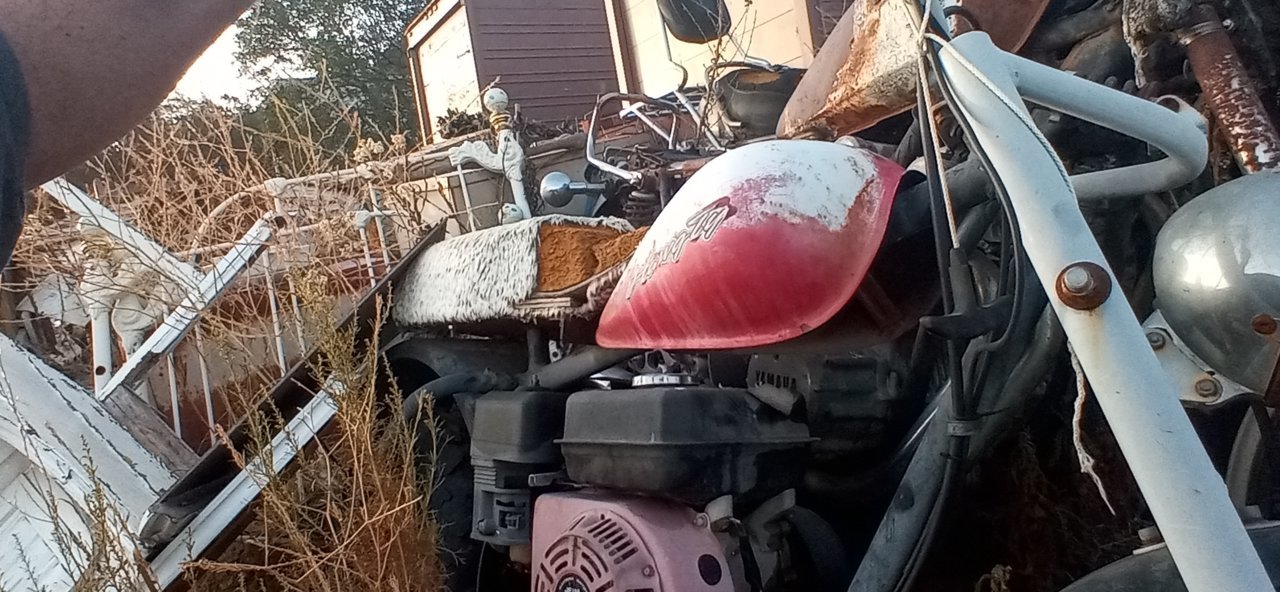 20220722_064447.jpg