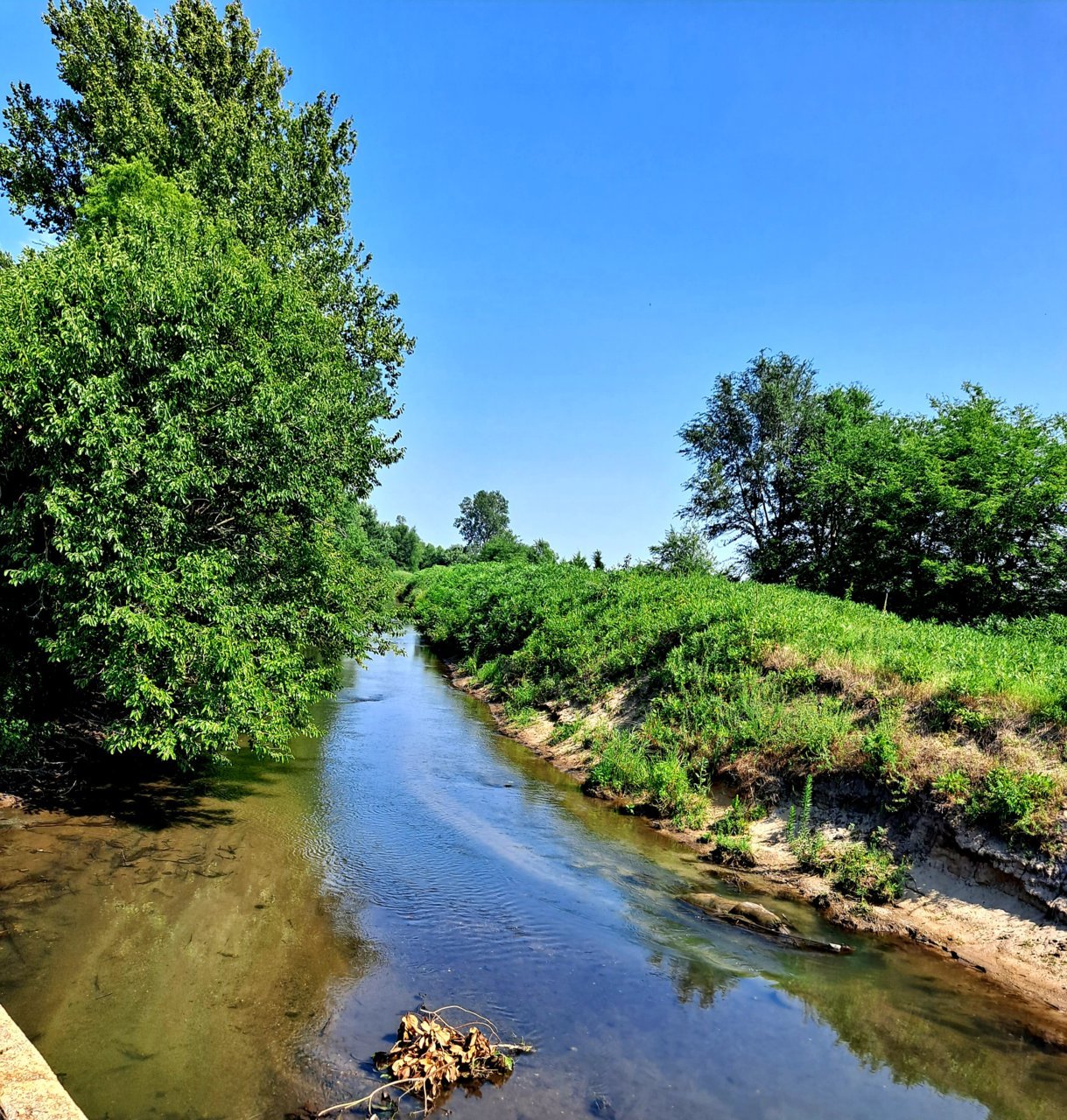 20220722_153401.jpg