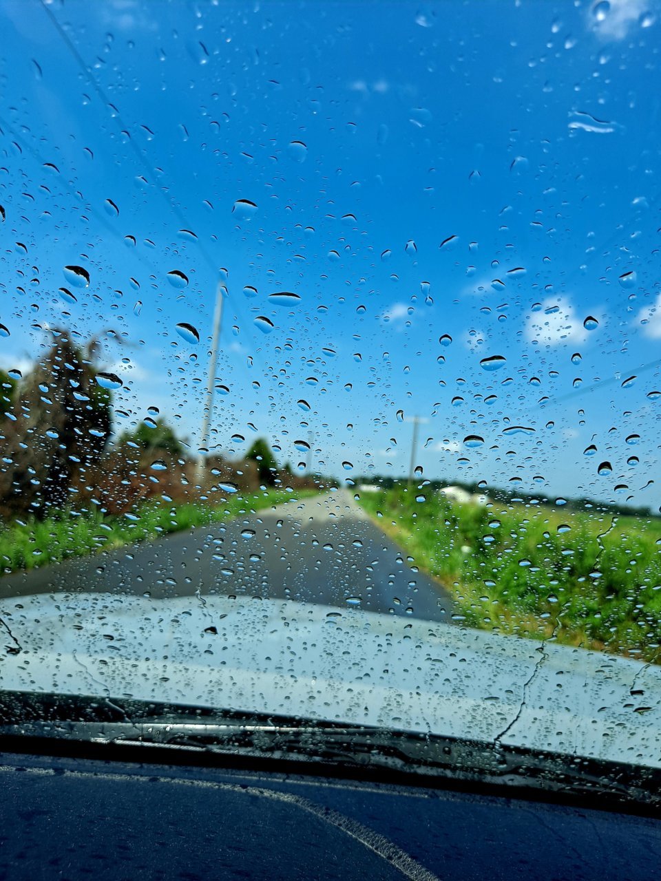 20220723_114322.jpg