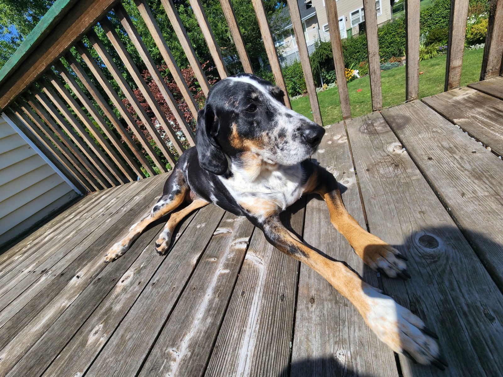 20220724_103318.jpg
