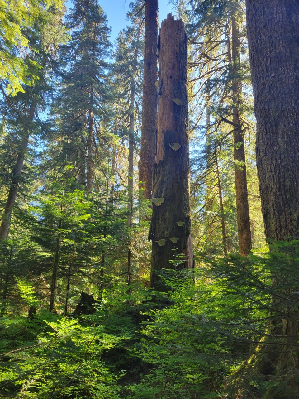 20220725_092402.jpg