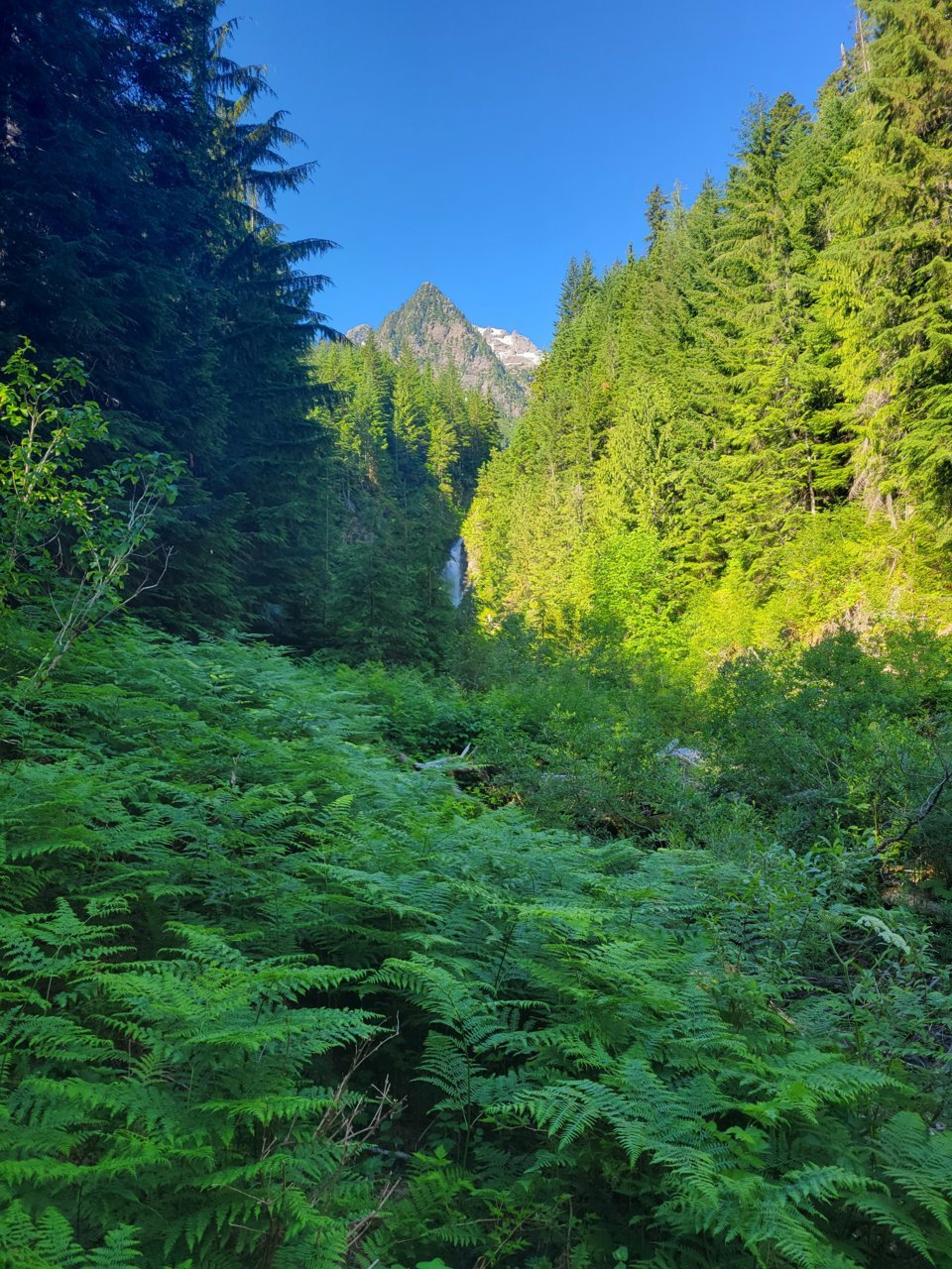 20220725_092747.jpg