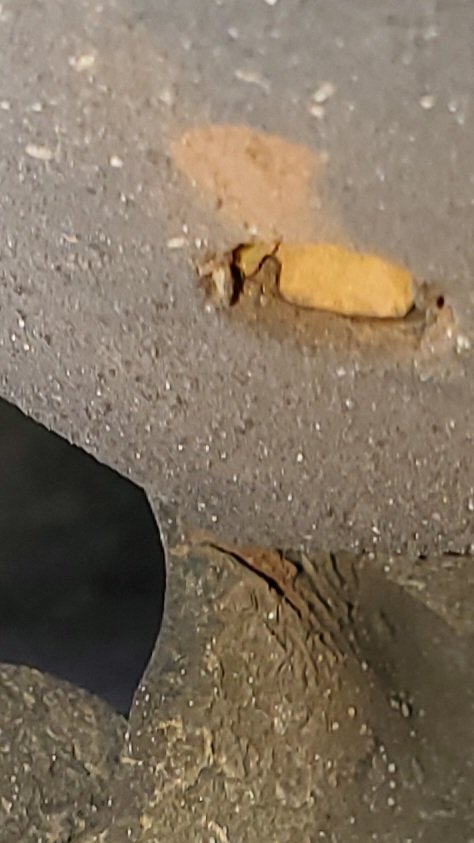 20220725_094707.jpg