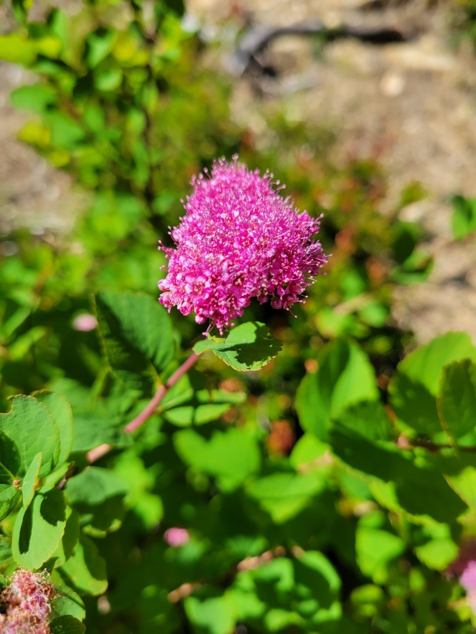 20220725_151053.jpg