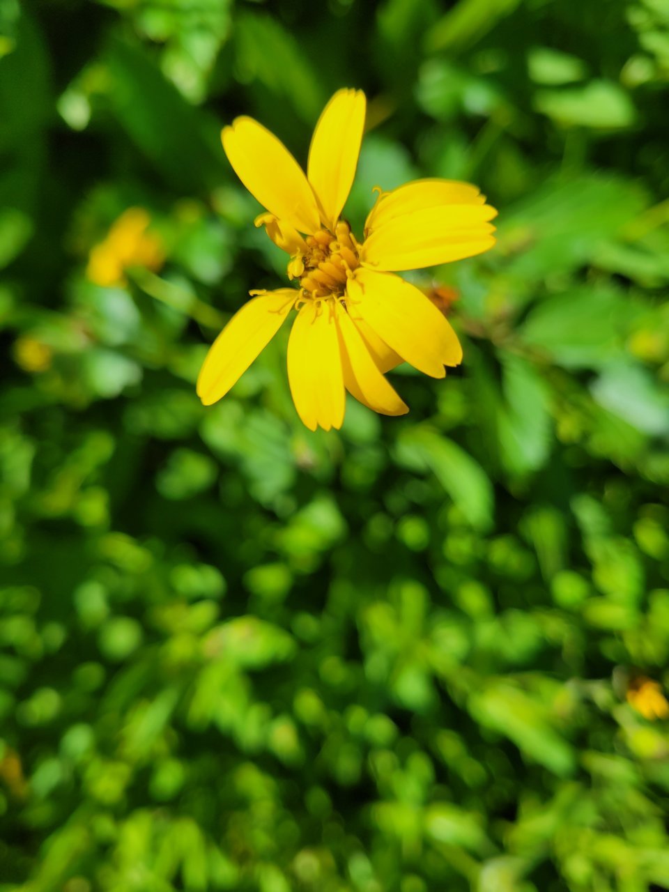 20220725_151508.jpg