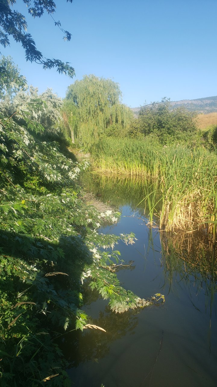 20220726_074514.jpg