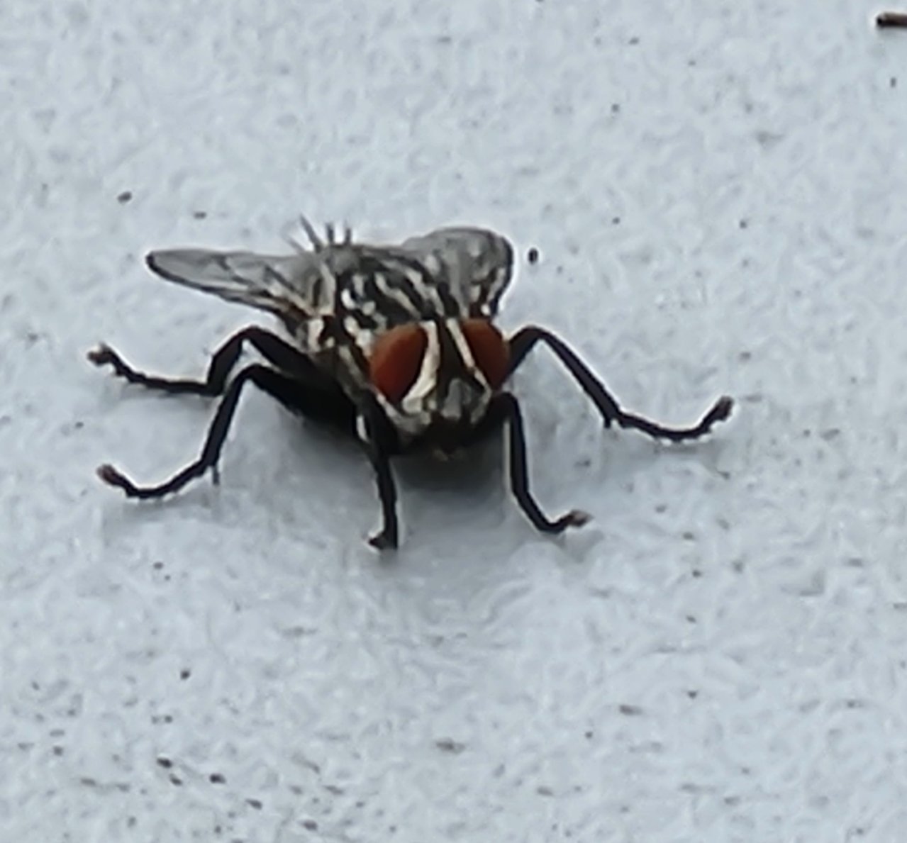 20220726_102157.jpg