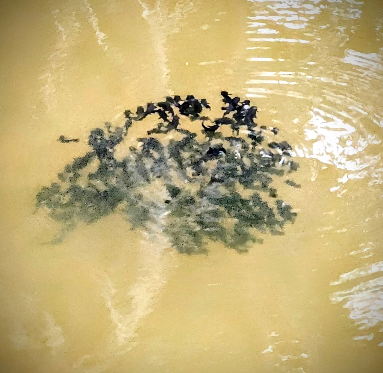 20220726_171822~2.jpg