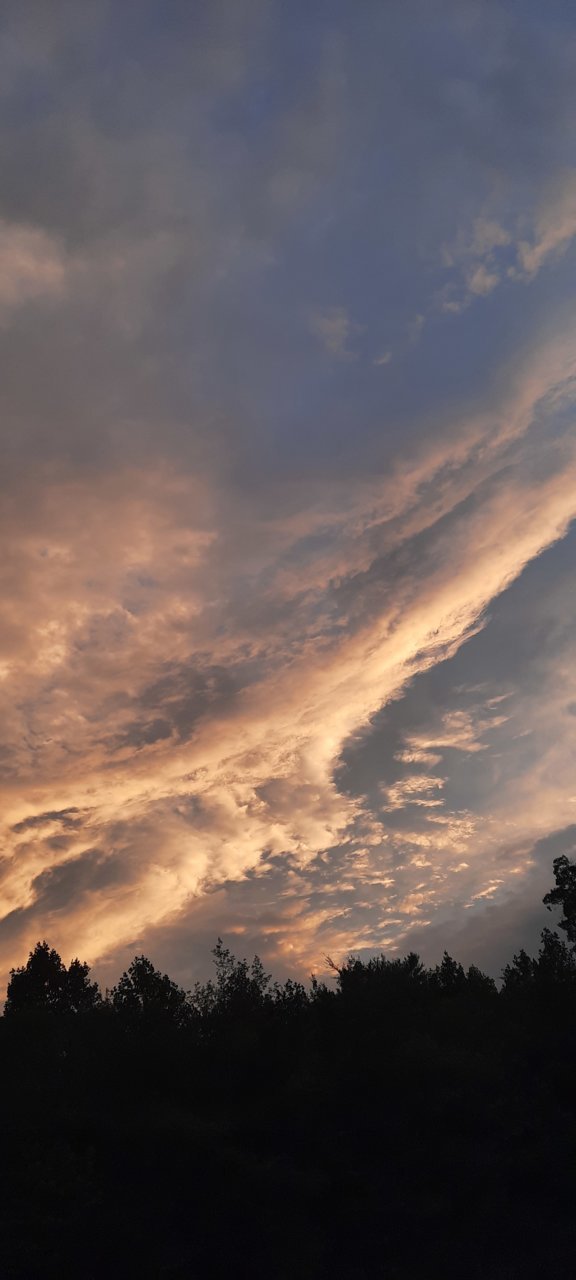 20220726_204841.jpg
